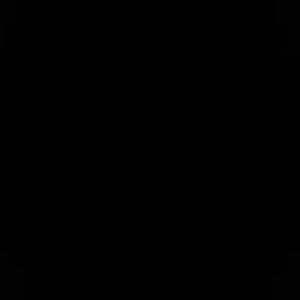 Meet your Posher, Samuel